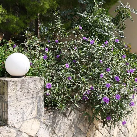 Almyros & * Κουνόπετρα